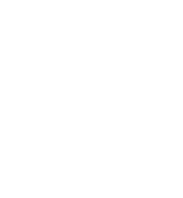 loading Image...