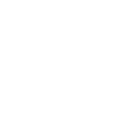 loading Image...