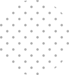 loading Image...